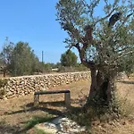 Cincallegra