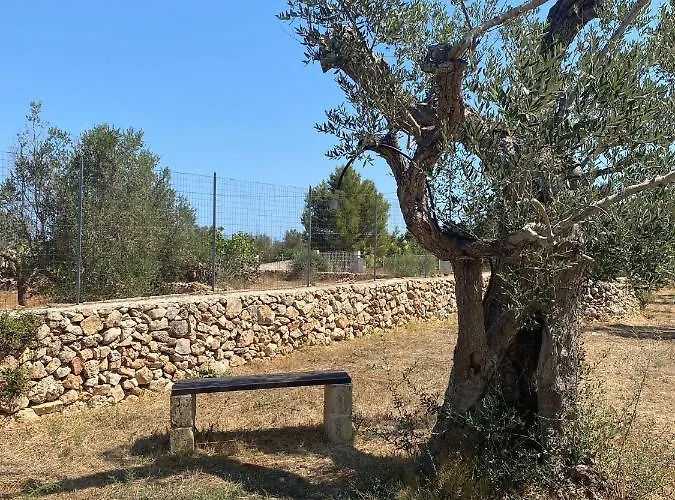 Cincallegra