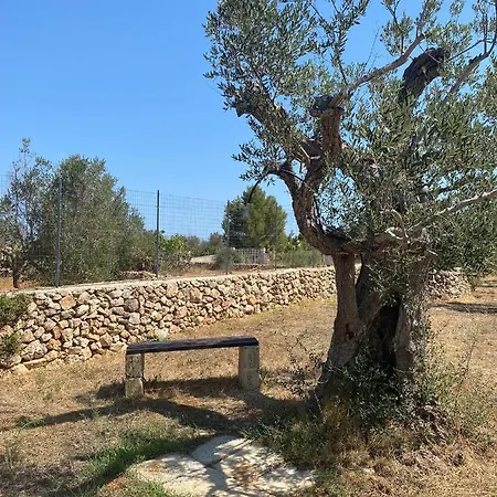 Cincallegra