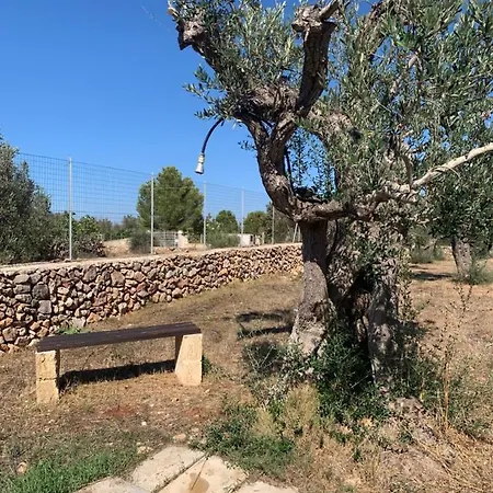 בית נופש Cincallegra