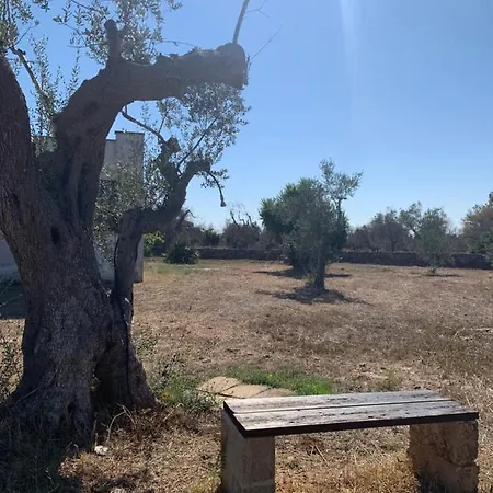 Cincallegra Nyaraló *